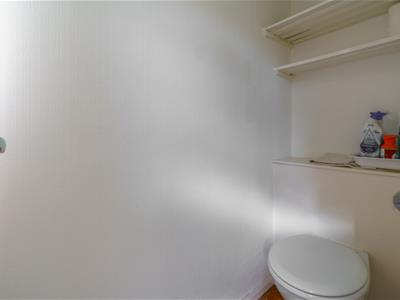 Picture 29